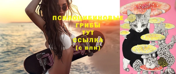 ECSTASY Алексеевка